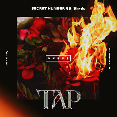 Download SECRET NUMBER - TAP Mp3