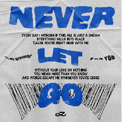 Download Jungkook BTS - Never Let Go Mp3
